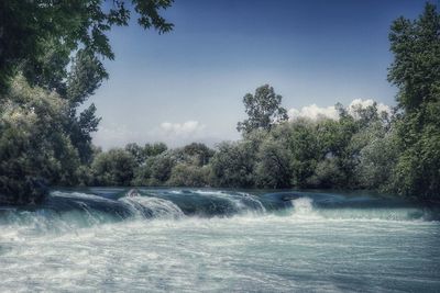 Scenic view of river amidst trees against sky
