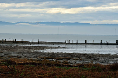 Wooden posts on beach against sky