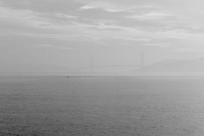 Birds fly along the san francisco bay with a fog faded golden gate bridge in the distance.
