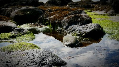 Rocks in water