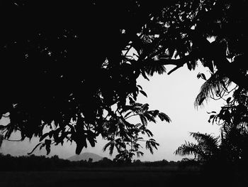 Silhouette trees on field against sky