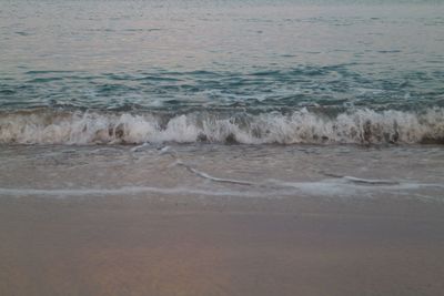 Scenic view of beach