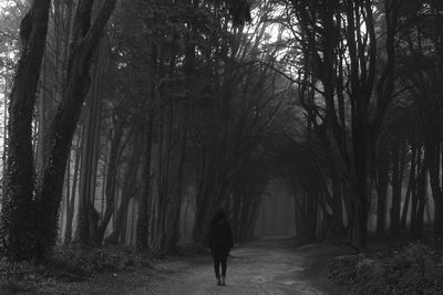 Rear view of woman walking in forest