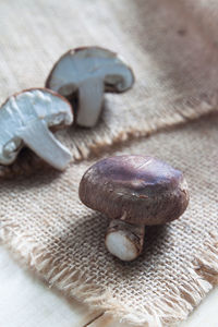 High angle view of mushrooms on burlap