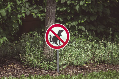 Road sign on field