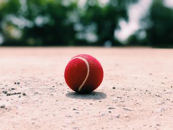 Close-up of tennis ball on sand