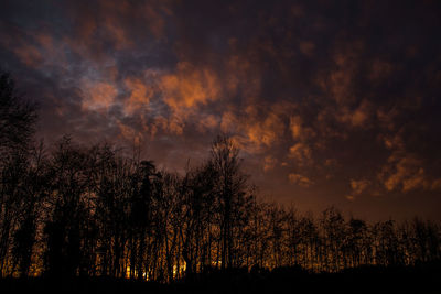 Silhouette trees in forest against sky at sunset