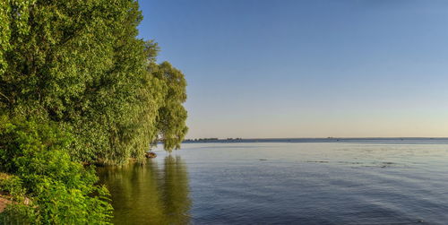 Valley of roses park on the banks of the dnieper river in cherkasy, ukraine