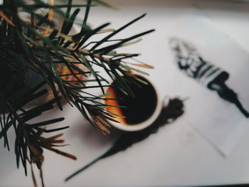 High angle view of paper plant on table