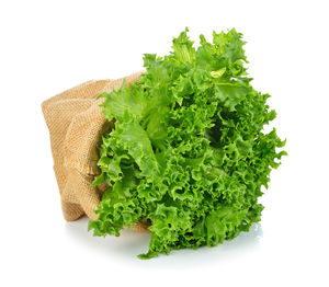 Close-up of vegetables against white background