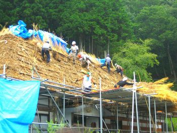 Group of people working in the forest