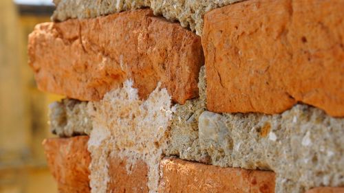 Close-up of bread on wall