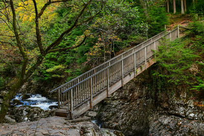Footbridge over river amidst trees in forest