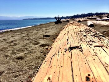 Surface level of wood on beach against clear sky