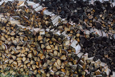 Neatly stacked firewood in a woodpile