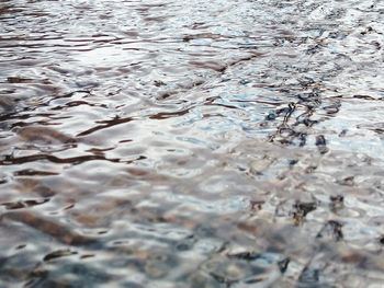 Close-up of water