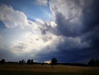 Scenic view of field against sky