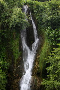 Low angle view of waterfall amidst plants on rock formation