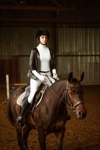 Young woman rider on dressage horse. an abstract shot of horse during