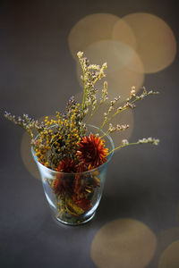 Close-up of flowering plant on glass table against black background