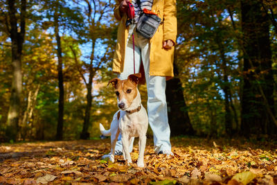 Portrait of woman standing in forest