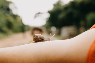 Close-up of snail on hand