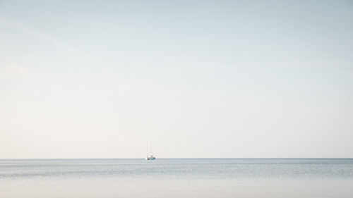 Sailboat sailing in sea against clear sky