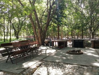 Empty chairs and table against trees in park