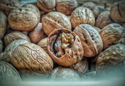 Close-up of walnuts