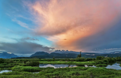 Scenic view of field against sky during sunset