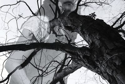 Low angle view of bare tree against sky