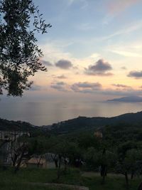 Scenic view of landscape against cloudy sky