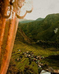 Scenic view of agricultural field