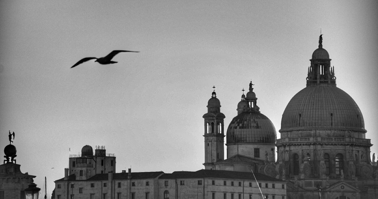 building exterior, built structure, architecture, sky, bird, vertebrate, place of worship, flying, animal themes, building, animal, religion, travel destinations, nature, spirituality, dome, animal wildlife, animals in the wild, belief, no people, outdoors, spire