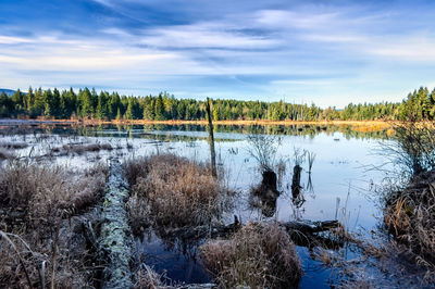 Scenic view of lake against sky