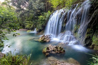 Scenic view of waterfall in forest