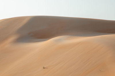 Sand dunes in desert against sky