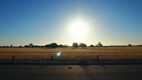 Scenic view of field against clear sky