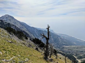 Scenic view of snowcapped mountains against sky