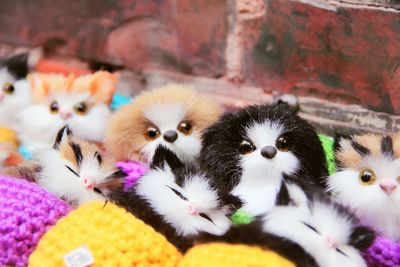 Toy cats for sale at street market
