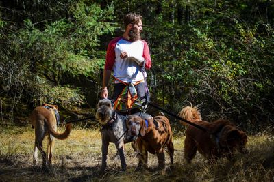 Man riding horses on land