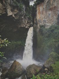 Scenic view of waterfall in forest