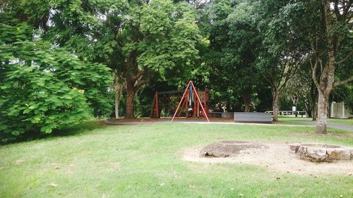 Trees in park