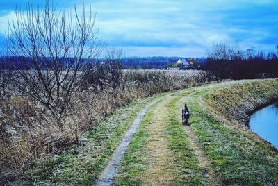 Dirt road passing through field