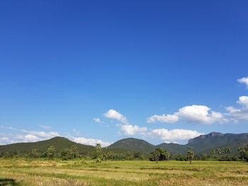 Scenic view of field against blue sky