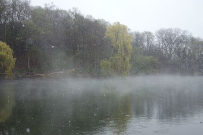 Scenic view of lake in forest during rainy season