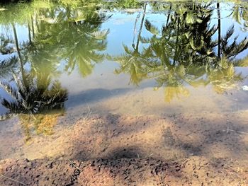 Reflection of trees in lake against sky