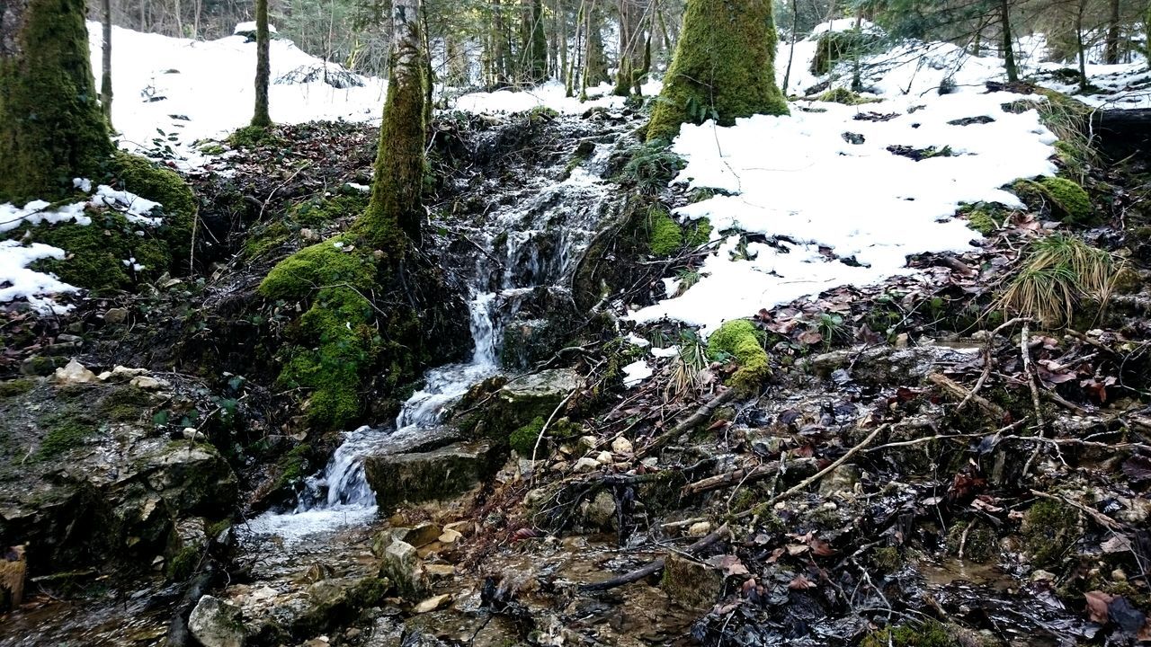 forest, water, tree, flowing water, nature, stream, tranquility, beauty in nature, scenics, tranquil scene, flowing, winter, river, snow, waterfall, cold temperature, non-urban scene, tree trunk, motion, day