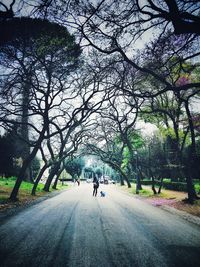 Rear view of people walking on road along bare trees