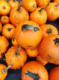 Full frame shot of pumpkins for sale